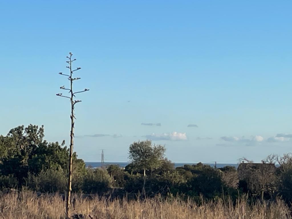 Casa campo santanyí